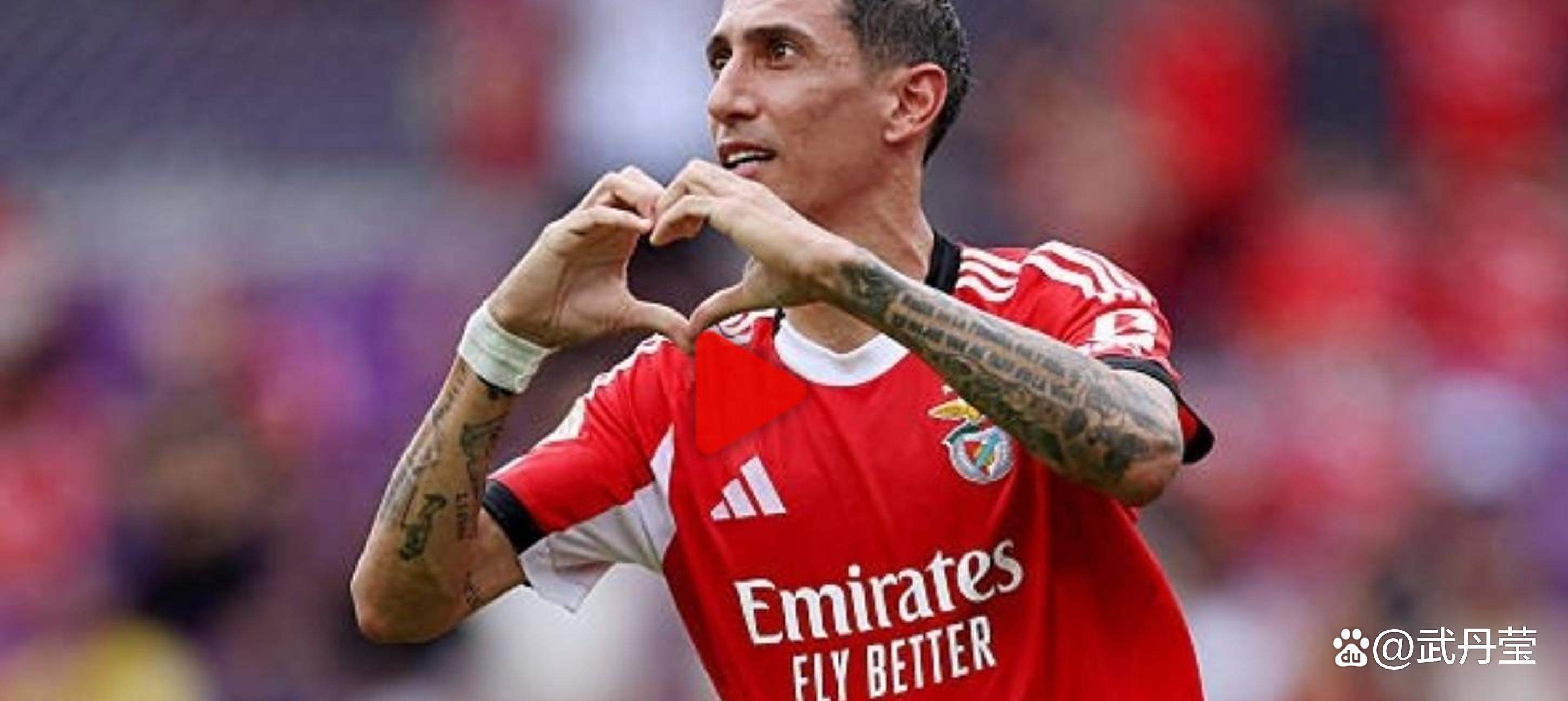 本菲卡今晚外线爆发，志在德国杯名次提升，压力陡增，资深球员宣示担当(德国杯29日最新消息)-kaiyun