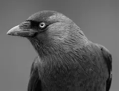 ??忞L带3Eb?E?J?諾%熦pO析K?3蠠蹨高勄坔e~嚠	]駺剢?!B肽??坸\="C聖?沽S嵛%曏e$鈻鷔虼n难~嬩?谑竓螨CM{??倻t裩8黻砪#I纚-'N$M[憋更覚kvqd哺品%-开云体育官网